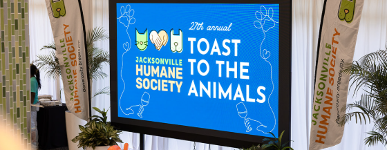 Toast Sponsorships
